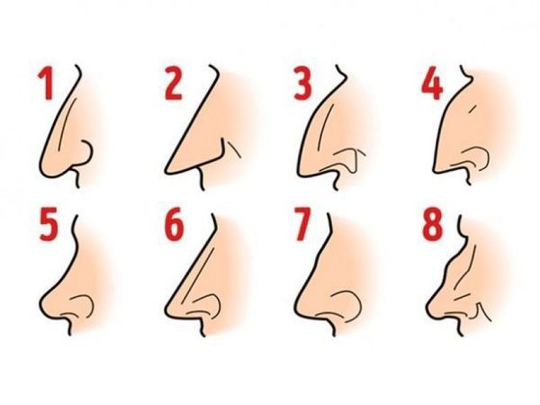 Ви будете сперечатись,коли дізнаєтесь,що форма носа говорить про вашу особистість? Цікаво дізнатись