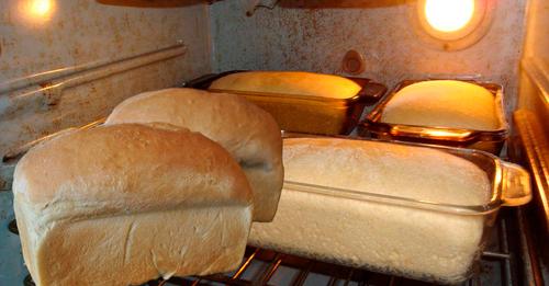 Запашний домашній хліб, який не кришиться та довго залишається свіжим. А на випікання потрібно обмаль часу