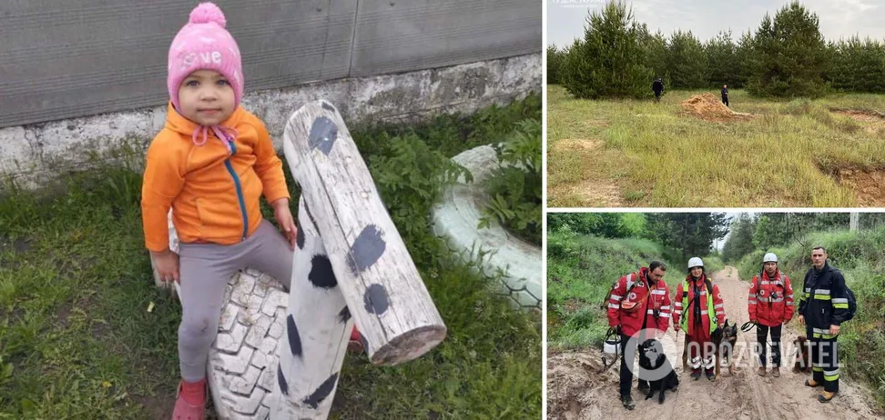 Була на подвір’ї, а потім зникла: на Харківщині тривають пошуки 2-річної дівчинки, залучено десятки рятувальників. Фото