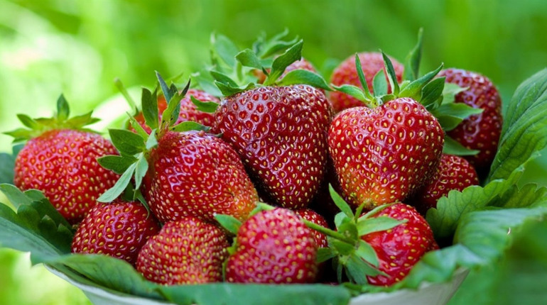 Ціни на популярну в Україні ягоду побили рекорд: скільки коштує