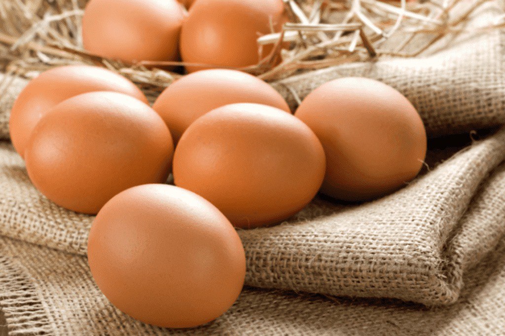 2-3 грн-за одне: що буде із цінами на яйця влітку і чи варто чекати на здешевшання