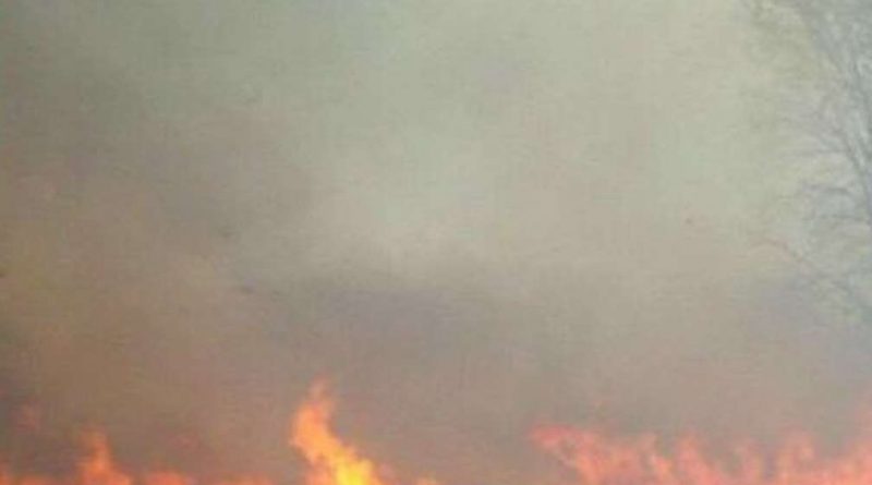 Велетенський стовп диму…Під Києвом спалахнула масштабна пожежа: що горить