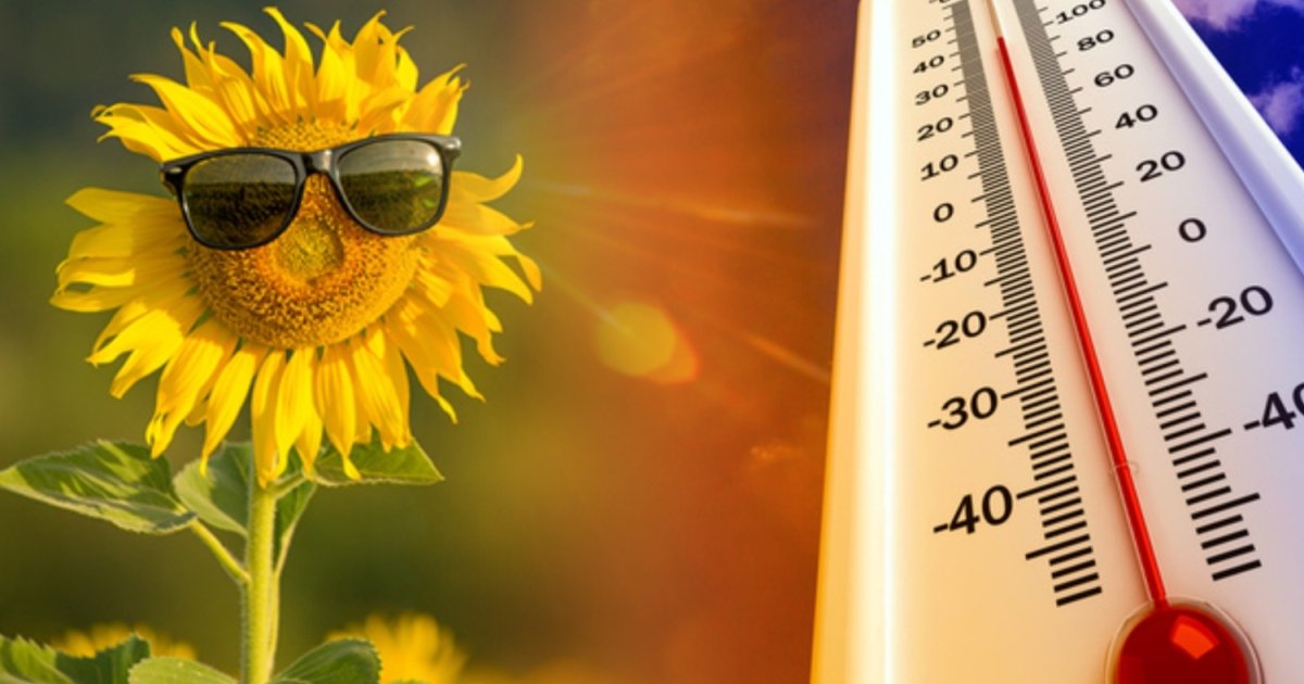 Спека до +30 градусів, подекуди грози: синоптики дали прогноз погоди на суботу, 15 липня