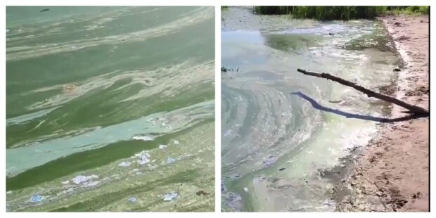 “Купатися в такій воді небезпечно”: моторошні кадри Дніпра публікують місцеві