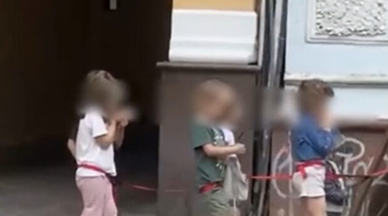 Жінка у Києві вигулювала дітей на повідку, кадри: “Що проходить за стінами садка?”