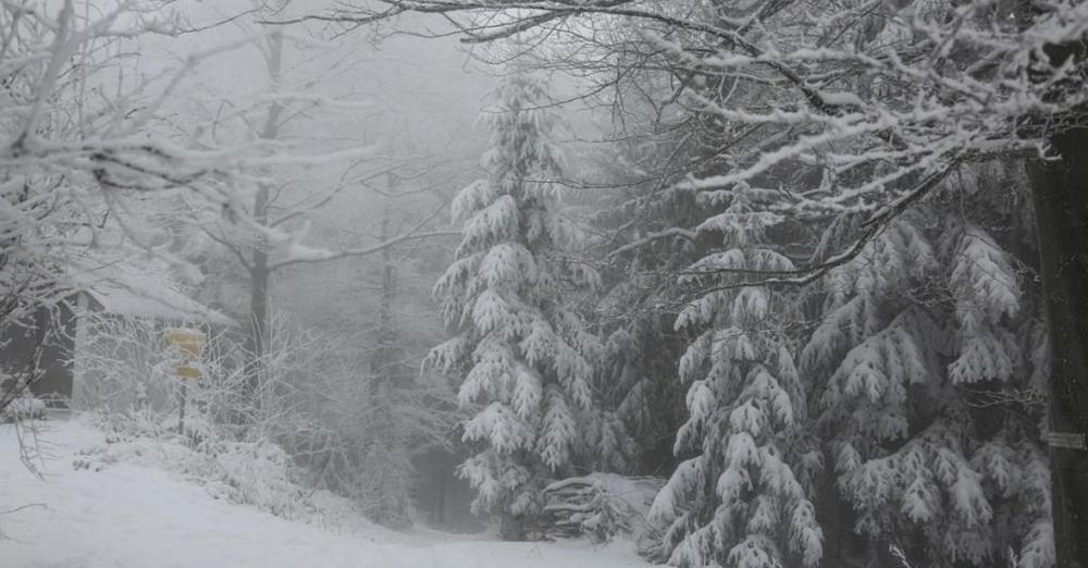 Штормовий вітер та сніг з дощем: в Україну вривається негода