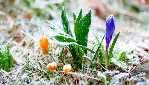 Погода погіршиться! Нічні заморозки, сніг та ожеледь: прогноз погоди в Україні на тиждень, 11-17 березня