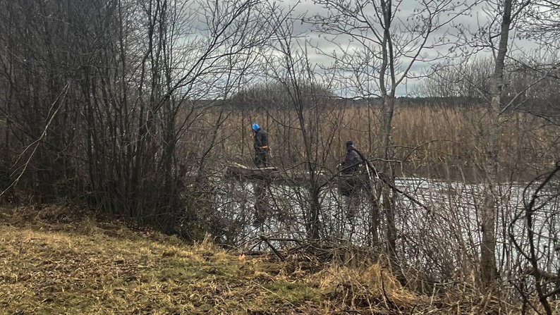 Загадкове зникнення! 17-річна студентка зникла в лісі! Її шукають уже місяць!