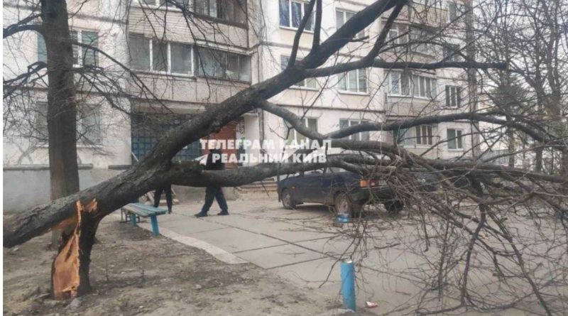 На Київ насувається гроза, вітер зриває фасади будівель та вириває дерева: фото, відео