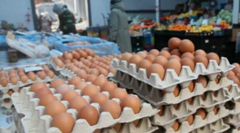 В Україні дешевшають яйця: які ціни прогнозують на найближчий час