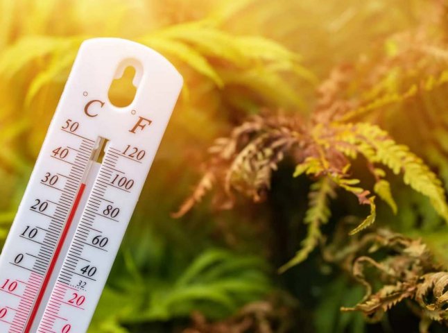 Задуха і дика спека до +35: синоптик Діденко попередили про погоду на завтра, 29 червня та всі вихідні