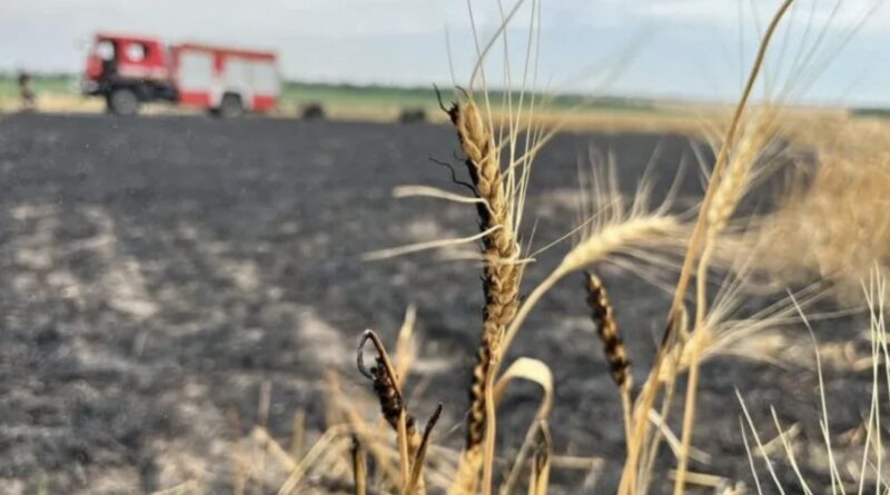 Погода збожеволіла – градуси валять з ніг: синоптик Діденко попередила про погоду на 12 липня