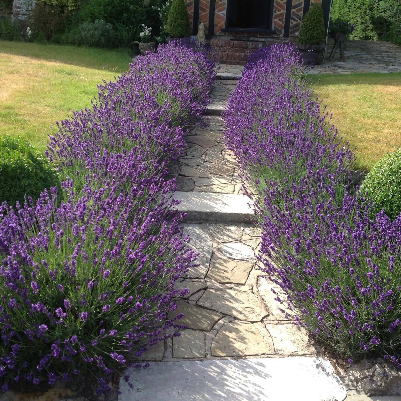 – Скільки можна косячити?! У тебе й помилки якісь дурні! Ну от! Що це! – Аліса Едуардівна тицьнула у місячний звіт довгим манікюром так, що мало не зламала нарощену красу.
