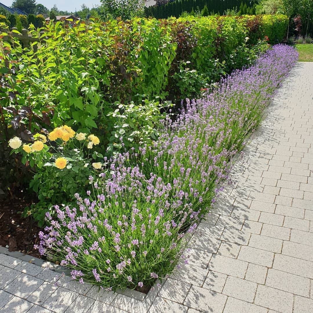 Я побачила повідомлення “Я чекаю дитину” на телефоні чоловіка і пішла на таємну вечерю з незнайомцем