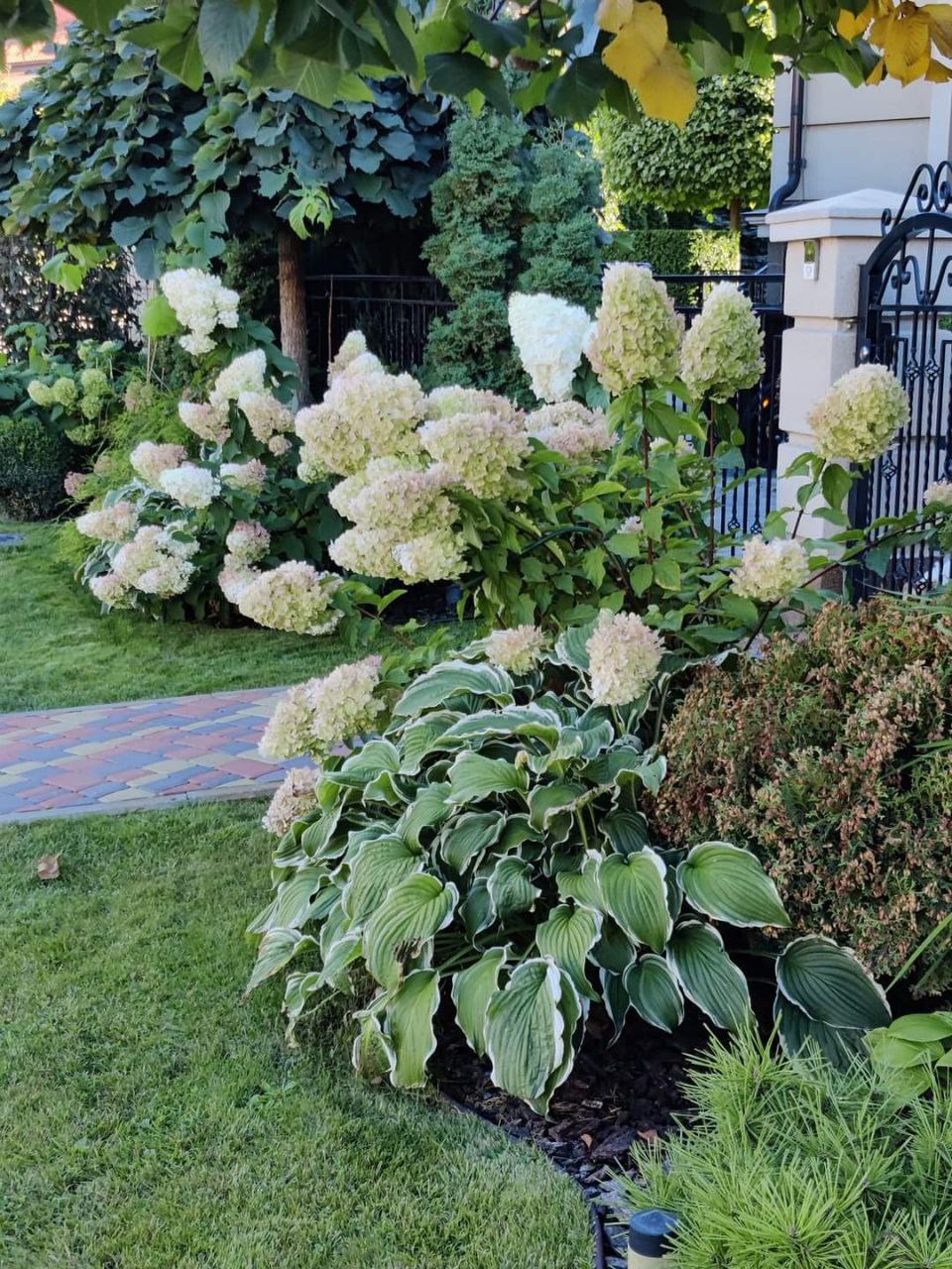 — І суп смачний, молодець, Іринка моя, ще й готувати встигає. Бачиш, яка дружина тобі дісталася, Ігоре, і працює, і обіди готує! — Та це… взагалі-то я обід готував, я зараз готую, вдома ж… Теща перестала їсти, захоплення на її обличчі розвіялося, як ранковий туман