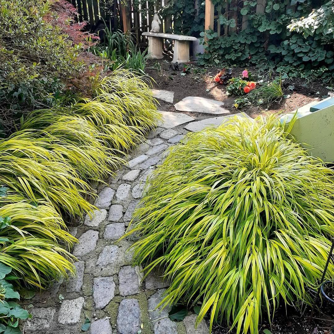 – У тебе інша? Так? Чому ти мені не сказав? – гукнула вона йому вслід