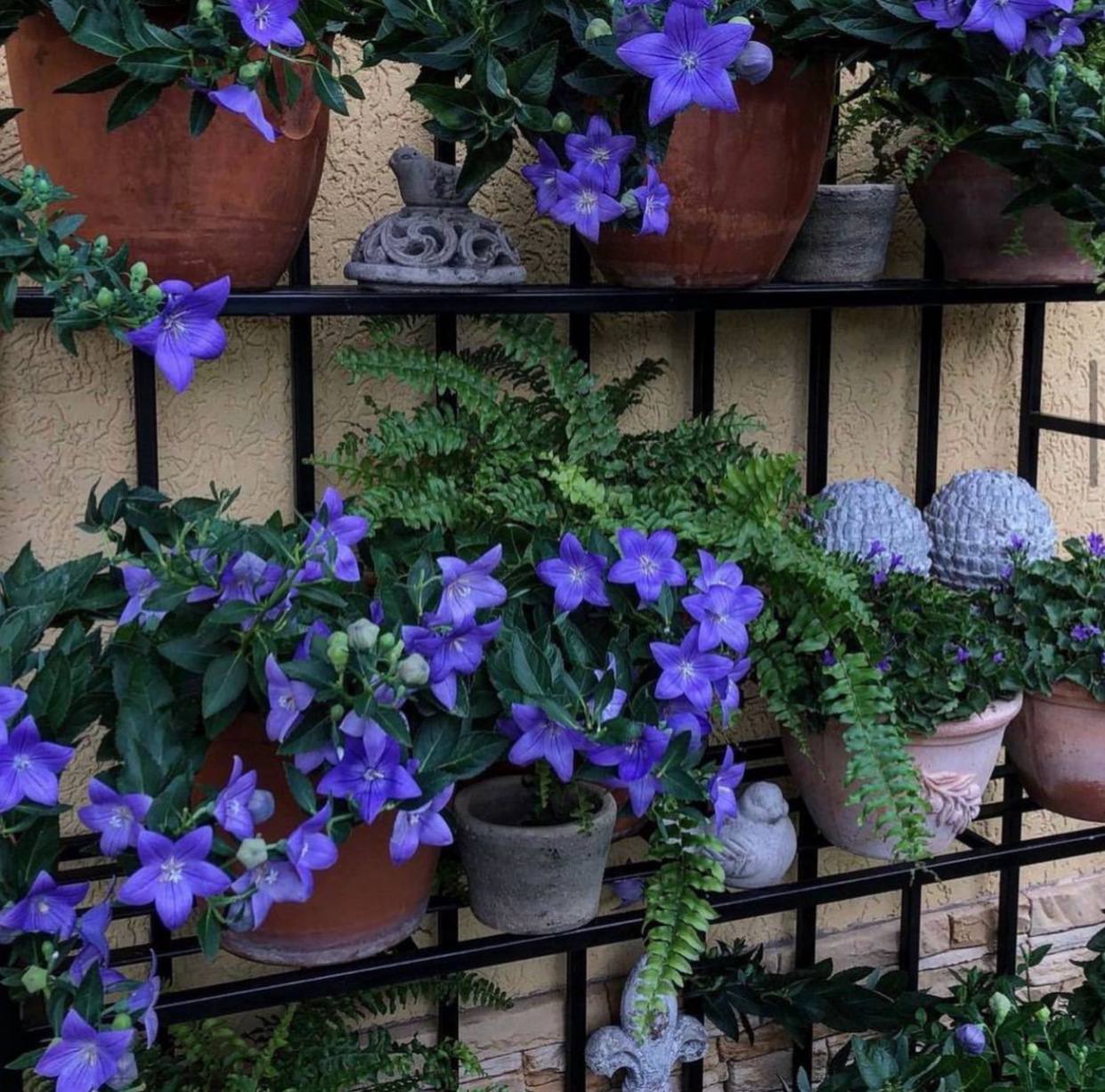 – Це, напевно, твої мати з батьком таку умову поставили? – обрушилася на чоловіка Карина, усвідомлюючи, що їх конфлікт заходить занадто далеко