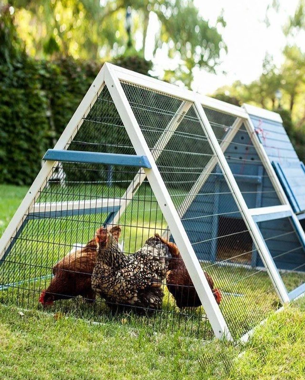 — Вова! Ти звільниш туалет чи ні?! – Світлана не витримала і вирішила постукати, але двері виявилися не замкнені, і Світлана побачила чоловіка у всій красі. Він стояв, дивлячись на екран планшета, і «розмовляв» із якоюсь дівицею. «Бесіда» була настільки особистою, що за такі бесіди дамочки з певних професій беруть гроші