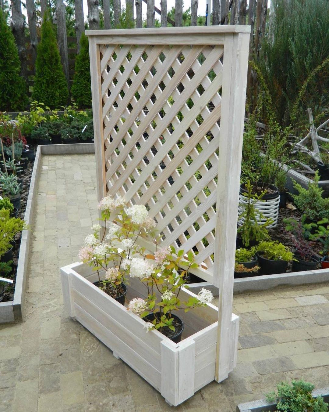 “Свята” жінка…