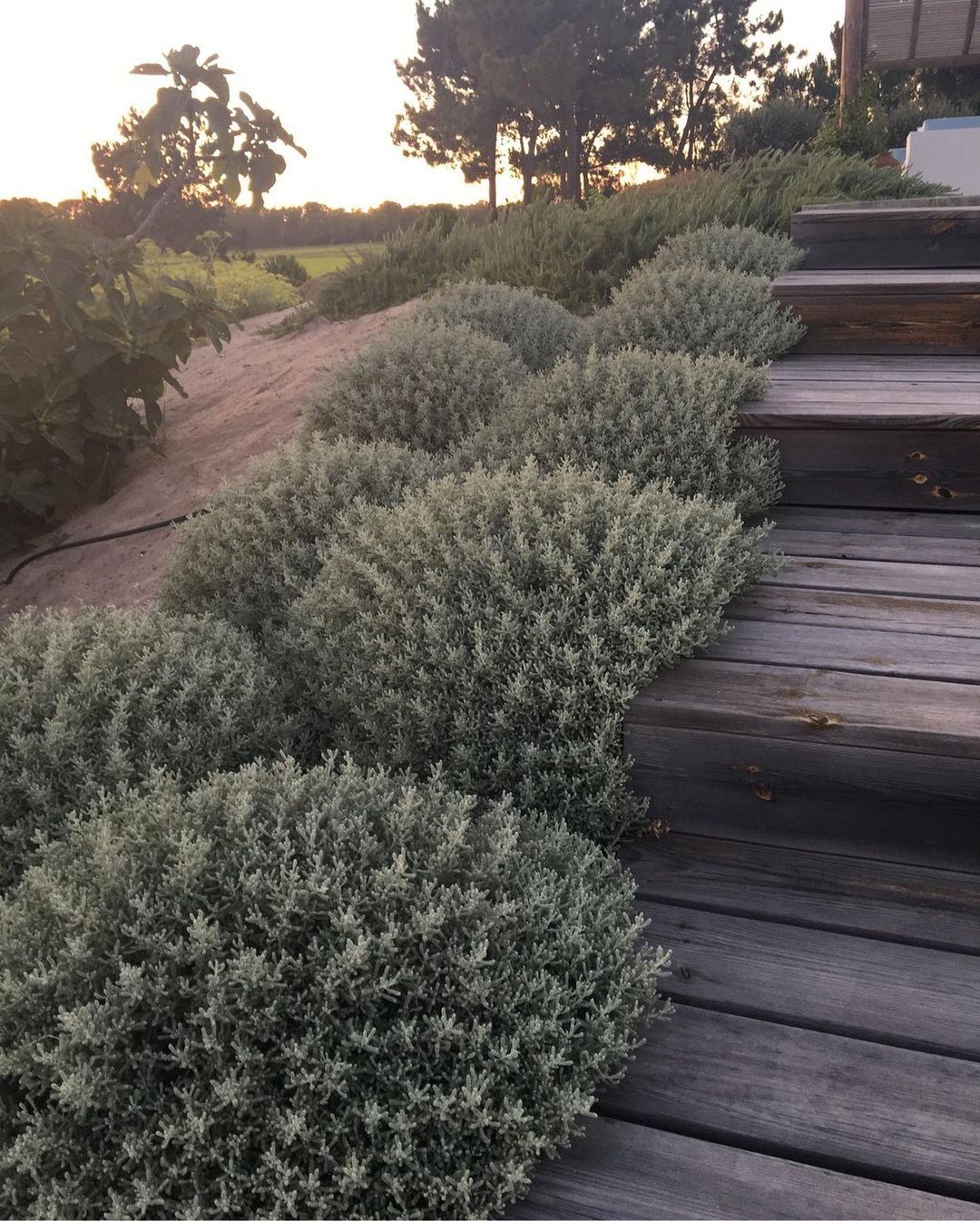 Одного разу чоловік прийшов з роботи, я насипала йому борщу, поклала в тарілку пюре і смажену курку. Нарізала миску салату з овочів. Я поставила все це на стіл, а сама в цей момент помила посуд. Але слів вдячності я не почула, натомість чоловік зробив мені зауваження, сказав, що я неекономна і дуже багато всього готую. Для себе я вже все вирішила: я теж буду працювати, щоб чоловік не дорікав мені шматком хліба