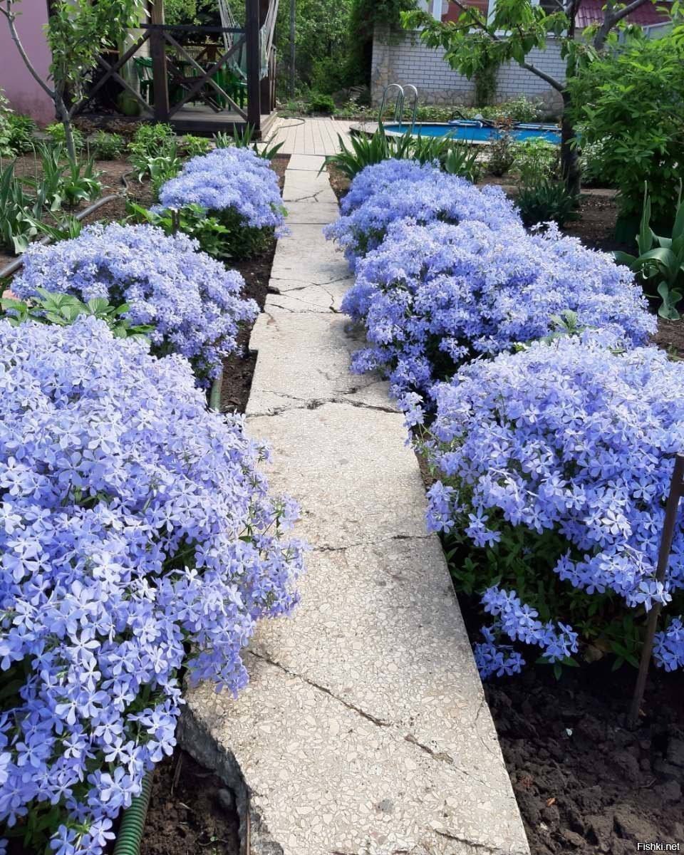 Через деякий час на сімейному святі, куди вони з Юрою приїхали привітати тітку, трапилося дивовижне: їх просто не пустили в будинок. — Це що означає? – Тамара була в шоці. Вони з Юрою стояли на порозі з букетом. — Подарунок давайте, а до столу ми вас не пустимо, – процідила свекруха Дар’ї. – Ми з такою ріднею ріднитися не хочемо