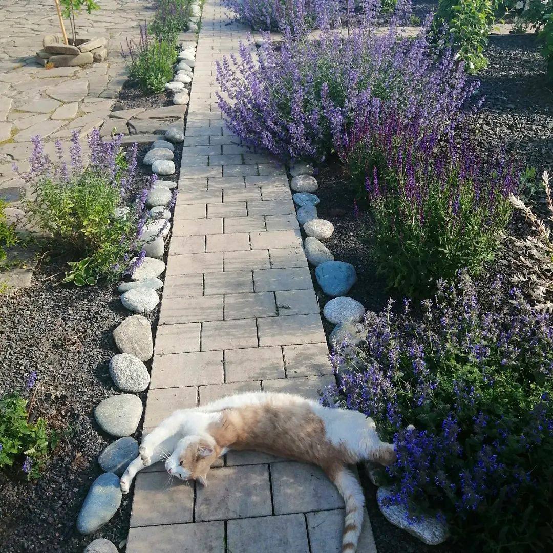 Як я виходила заміж знову, я взагалі не пам’ятаю, все відбувалося, як уві сні. Другий чоловік, Олександр, був старший за мене на двадцять шість років. Він був компаньйоном вітчима Петра. Це тепер я зрозуміла, що неспроста я втратила першого чоловіка і дитину