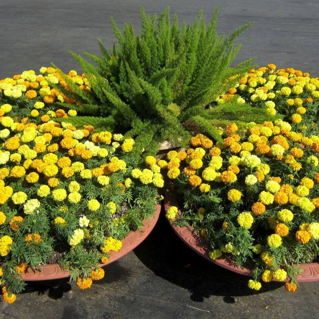 — Людмило, це Галя, моя дівчина! Ми з нею чекаємо дитину. І вона житиме тут, поки ти не з’їдеш, – набравшись хоробрості, видавив із себе чоловік. — Це хто ж тебе в дитинстві так упустив, що ти геть з глузду з’їхав? – сплеснула руками Люда, очманіла від такої заяви. Мало того що чоловік завів собі коханку, так він її додому до них притягнув, з животом, та ще й господиню дому виганяє