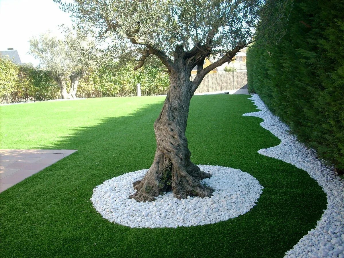 А що? Я вважаю: заміж треба виходити швидко, а то залишуся… – вона подивилася на Олександру, – а то залишуся як тітка Шура… старою дівою. — Катю, замовкни! – закричала на доньку Алла. — Та годі, не кричи на неї, має рацію Катруся: таких як я раніше старими дівами називали. А я й не ображаюся, звикла. Та й усе тепер – мені вже заміж не треба поспішати, я вже на пенсії, залишається городик тримати, та курочок