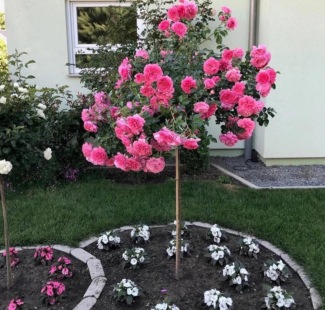 Поки вона лікувалася від травми, він крутив на стороні роман! Та на якій стороні? У неї вдома! Під її власним носом