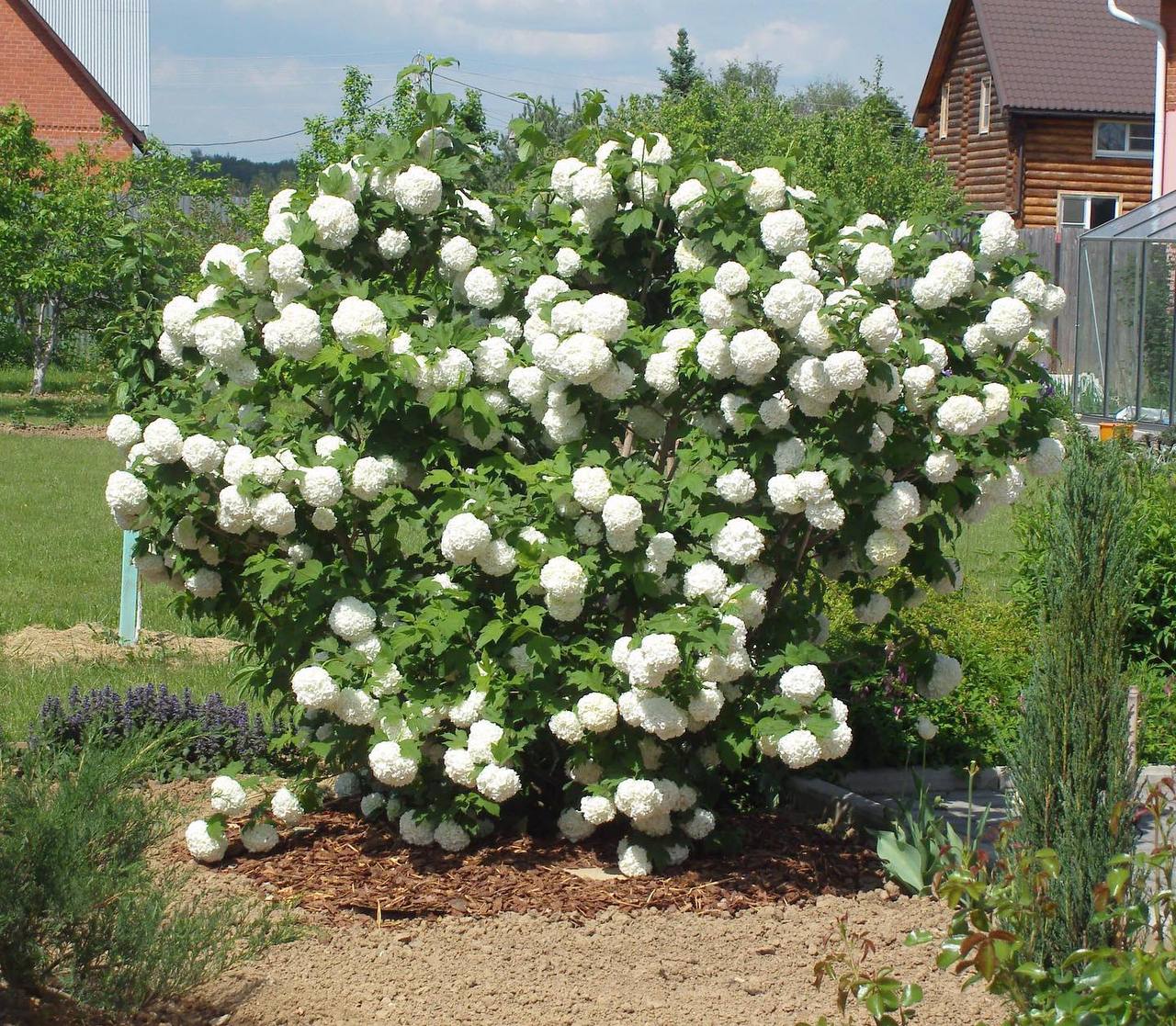 Я відчуваю, що втратила не лише куму, а й близьку подругу! Що мені робити? Чи можу я це виправити