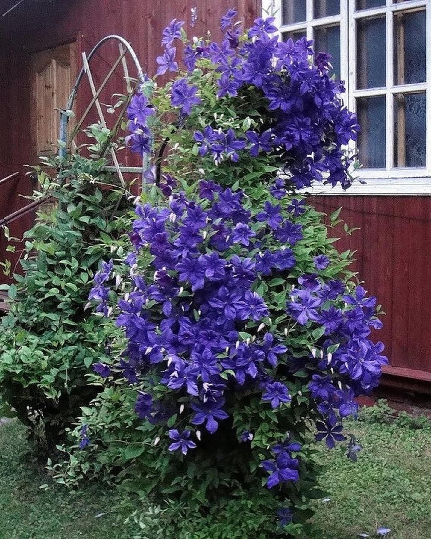 – Усього пʼятсот гривень! – сказав син. – Я тобі зі стипендії одразу ж і віддам. Тату, ти не хвилюйся!