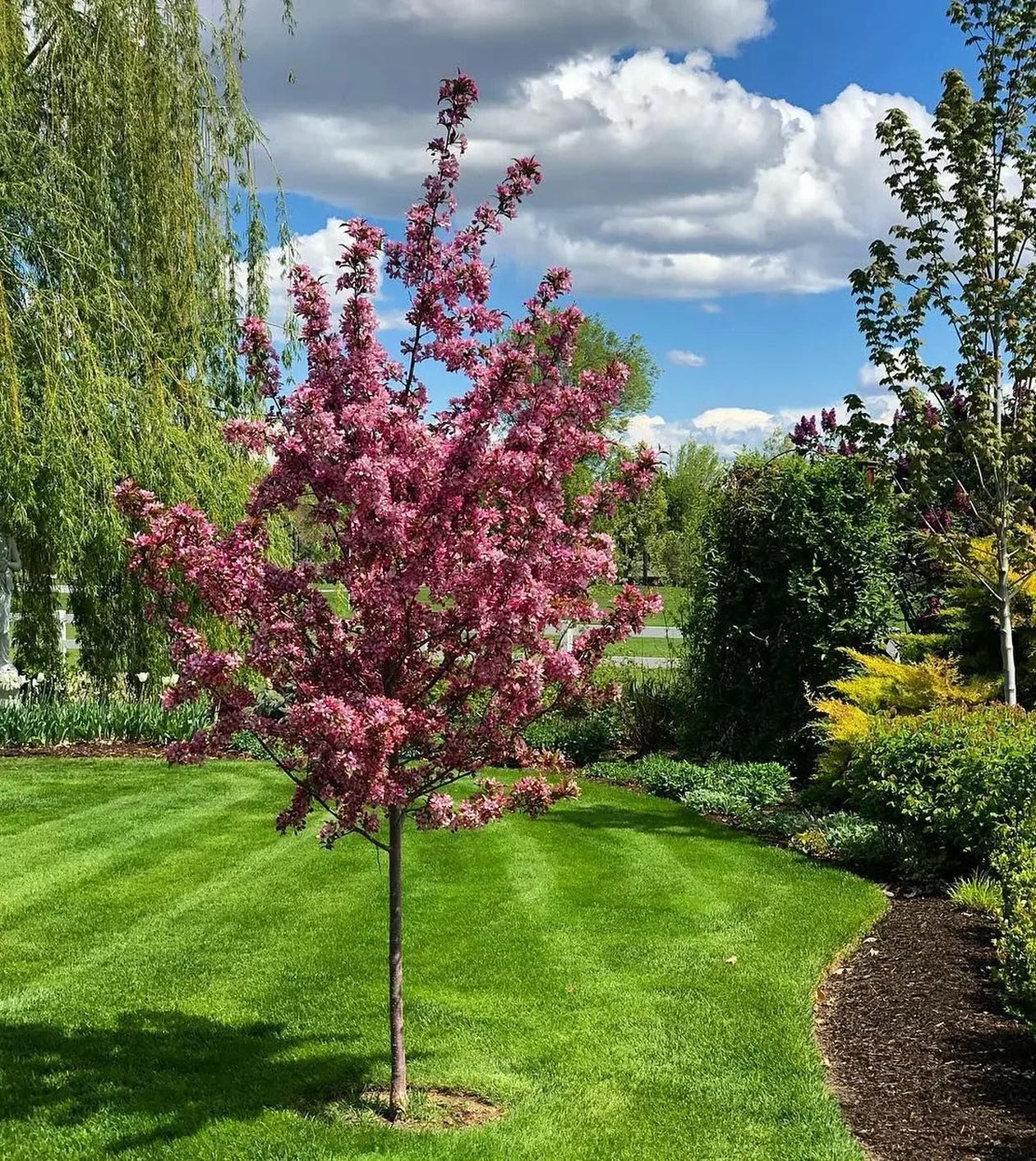 В селі моя рідна сестра зібралася робити весілля. Я заробляю дуже добре і вирішила, що подарую їй дорогий холодильник, адже вона собі такий ніколи не зможе купити. Але чоловікові моєму не сподобалося, він сказав, що достатньо і 1000 гривень їй дати. Я вже думала подарувати велику суму в конверті, щоб чоловік не знав, але вирішила, що це буде не правильно і придумала інший вихід