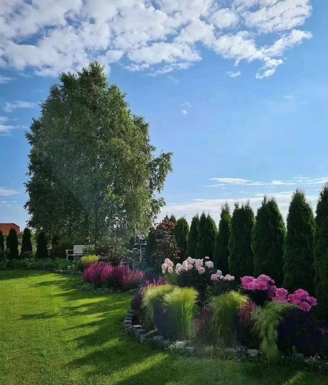 Мамо, я не буду їсти те, що ти мені приготувала!, – заявила Тетянка. Я ледь не стерпла, бо готувала ці котлети не просто за рецептом її улюбленої бабусі, а й з найвідбірнішого м’яска, яке сама й перемолола. Я дві години біля плити простояла, щоб нарешті “переплюнути” свекруху, але це мені так і не вдалось. А в неділю ми разом з Лідією Степанівно пройшлись по магазинах, де й відкрилась вся правда