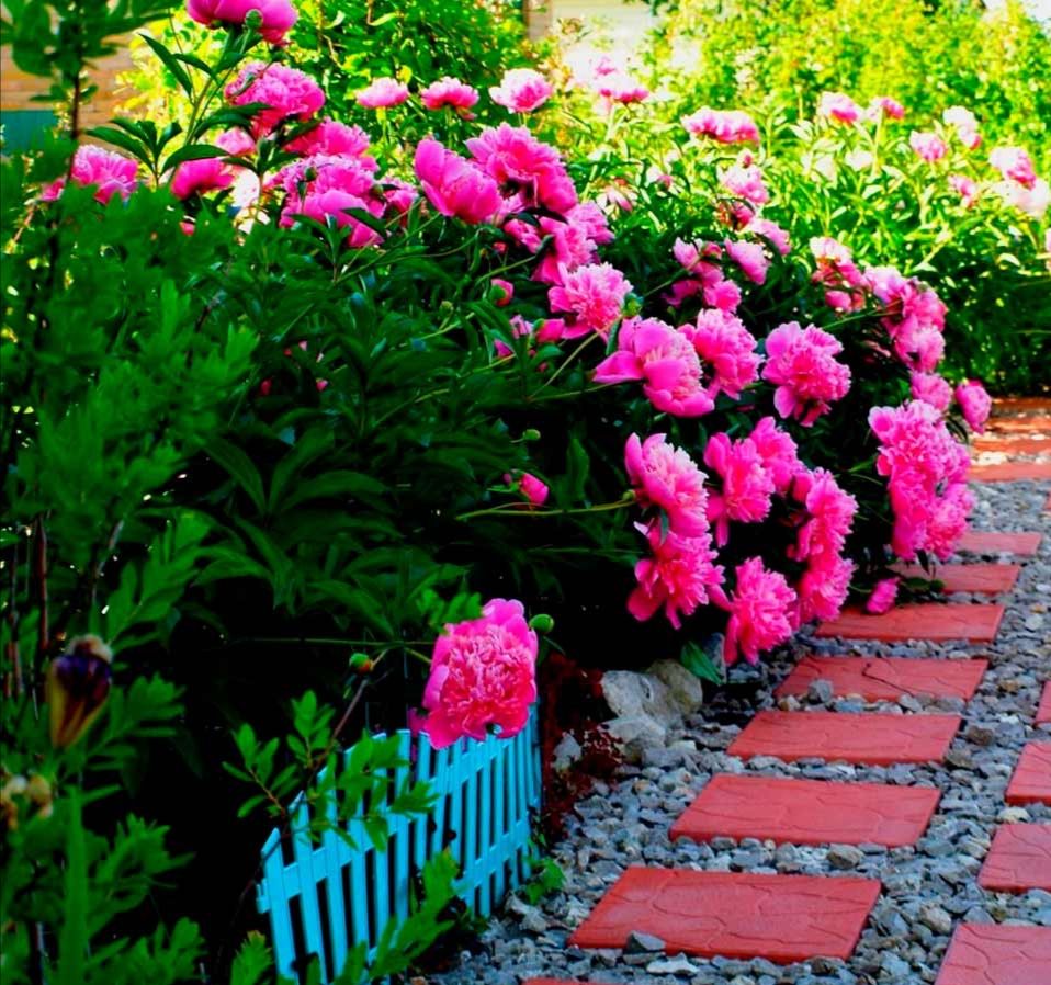 Коли Григорій повернувся зі своїх заробітків і, опустивши очі, сказав їй, що від нього там, в Польщі, чекає дитину інша дівчина і він приїхав розлучитися – Марта присягнулася тоді собі, що буде чекати і дочекається. Через 20 років Григорій з’явився в своєму поліському селі, підійшов до Мартиного обійстя. Вона поралася у квітнику. Підняла голову в світлій квітчатій хустині. Відвела від карих очей каштанове хвилясте пасмо. «Не для того я тебе, Гришо, чекала, аби бути з тобою. Для іншого…» – замість привітання