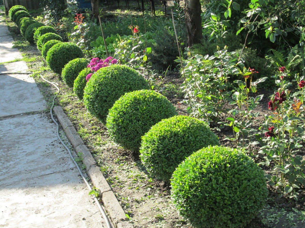 Півгодини тому її краща подруга затянула мене в лiжкo, а зараз жінка, яка для мене стала богом і яку я кохаю більше за життя, збирає свої речі