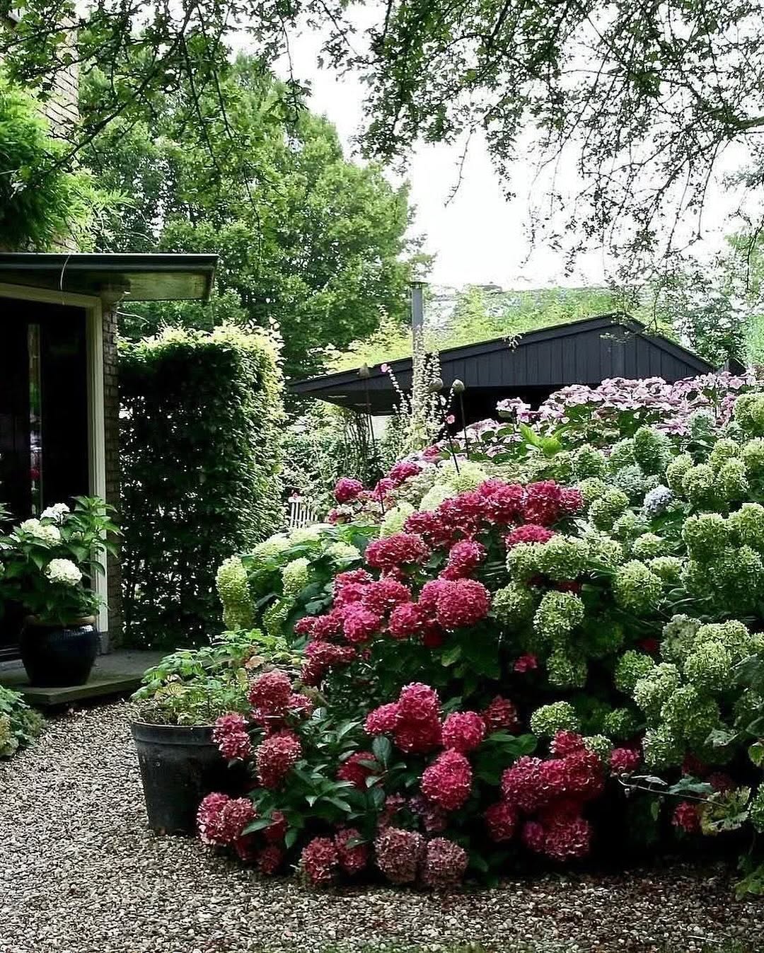 Невістка з’їла вже дев’ять млинців і випила дві чашки кави, і тепер з цікавістю дивилася продовження улюбленого серіалу по телевізору. Вона, звичайно, могла б дивитися серіал і в кімнаті