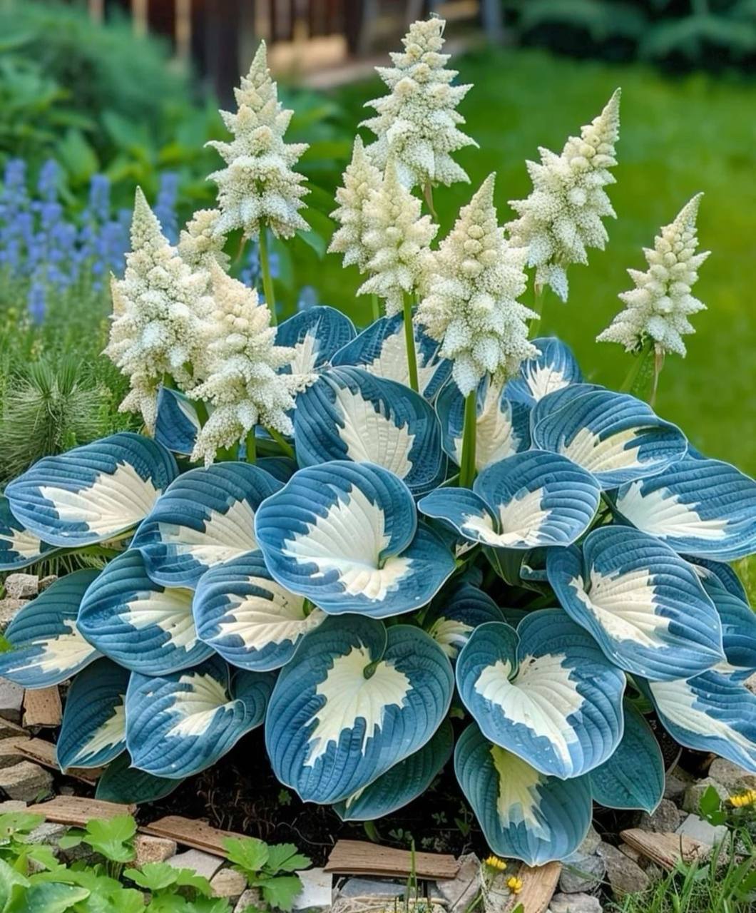 Олено, доню, як ви там? Чому не телефонуєш? – подзвонила Надія доньці в Німеччину. – Ой, мамо. Вибач, стільки справ, стільки всього. Тут так важко, стільки паперів, навчання. Я ледве сама справляюся. – А як же я? – несміливо запитала Надія. – Ти ж казала, забереш до себе і мене. – Мамо! Ну що ти таке говориш? Я тебе люблю. Але куди я тебе тут заберу? Ми ж тут самі ще не звикли і не справляємося. Я ледве дітей сама тягну. Тут такі ціни на житло, такі вимоги до пенсіонерів. Ти ж розумієш, мені й так дуже важко одній. Я тебе не потягну і мову їх ти вже не вивчиш тут