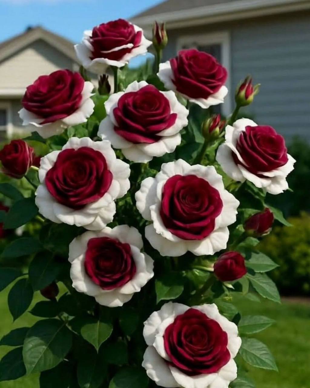 Чомусь Славкові терміново захотілося продати заміський будинок: мовляв, давай поживемо поки на орендованій квартирі, а виручені гроші назбираємо й купимо двоповерховий котедж. Це було, колись, їхньою мрією. І її можна було б почати втілювати в життя. Якби не виникло резонне запитання: а навіщо?